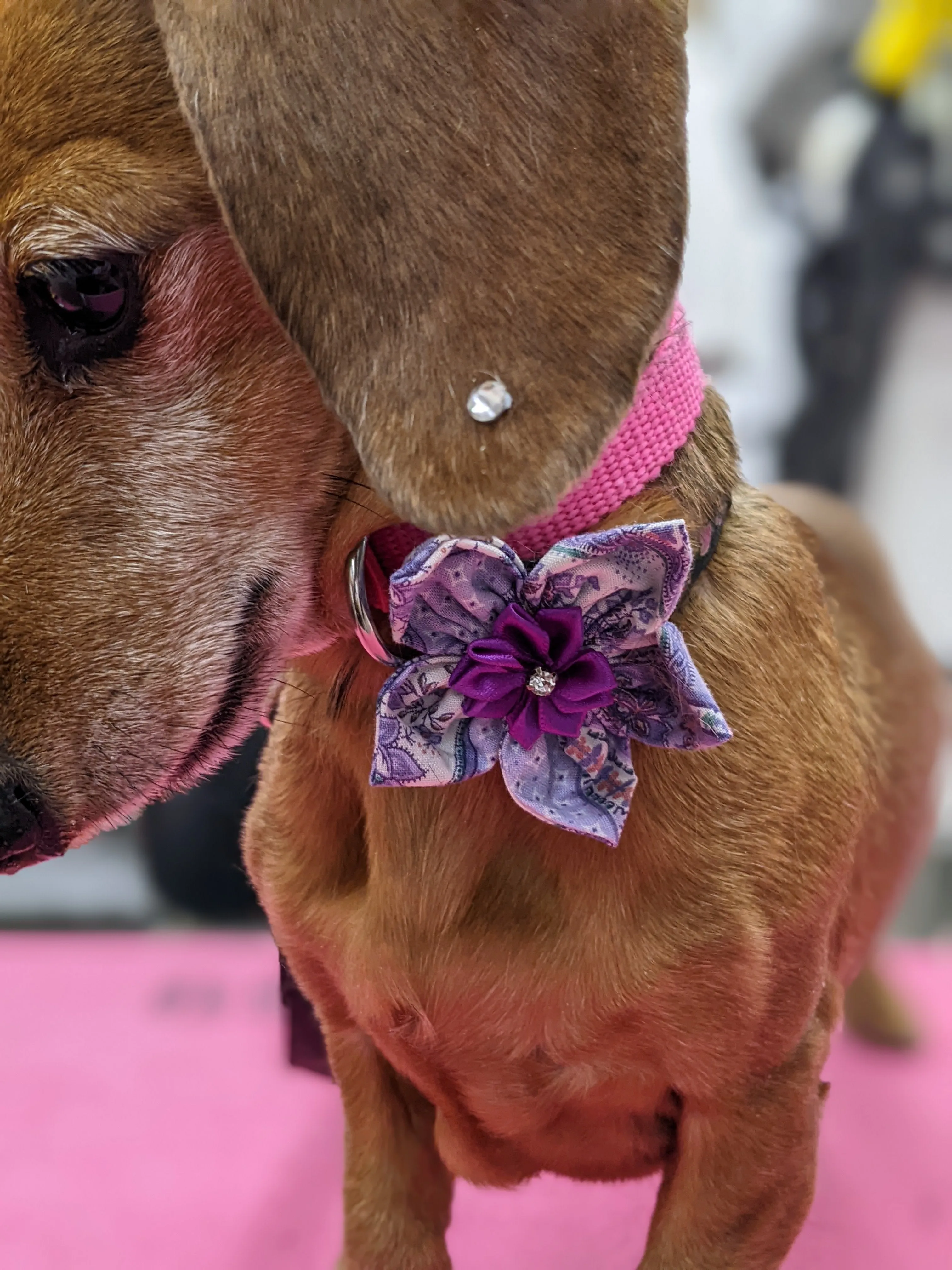 Bespoke Collar Blossoms & Bowties