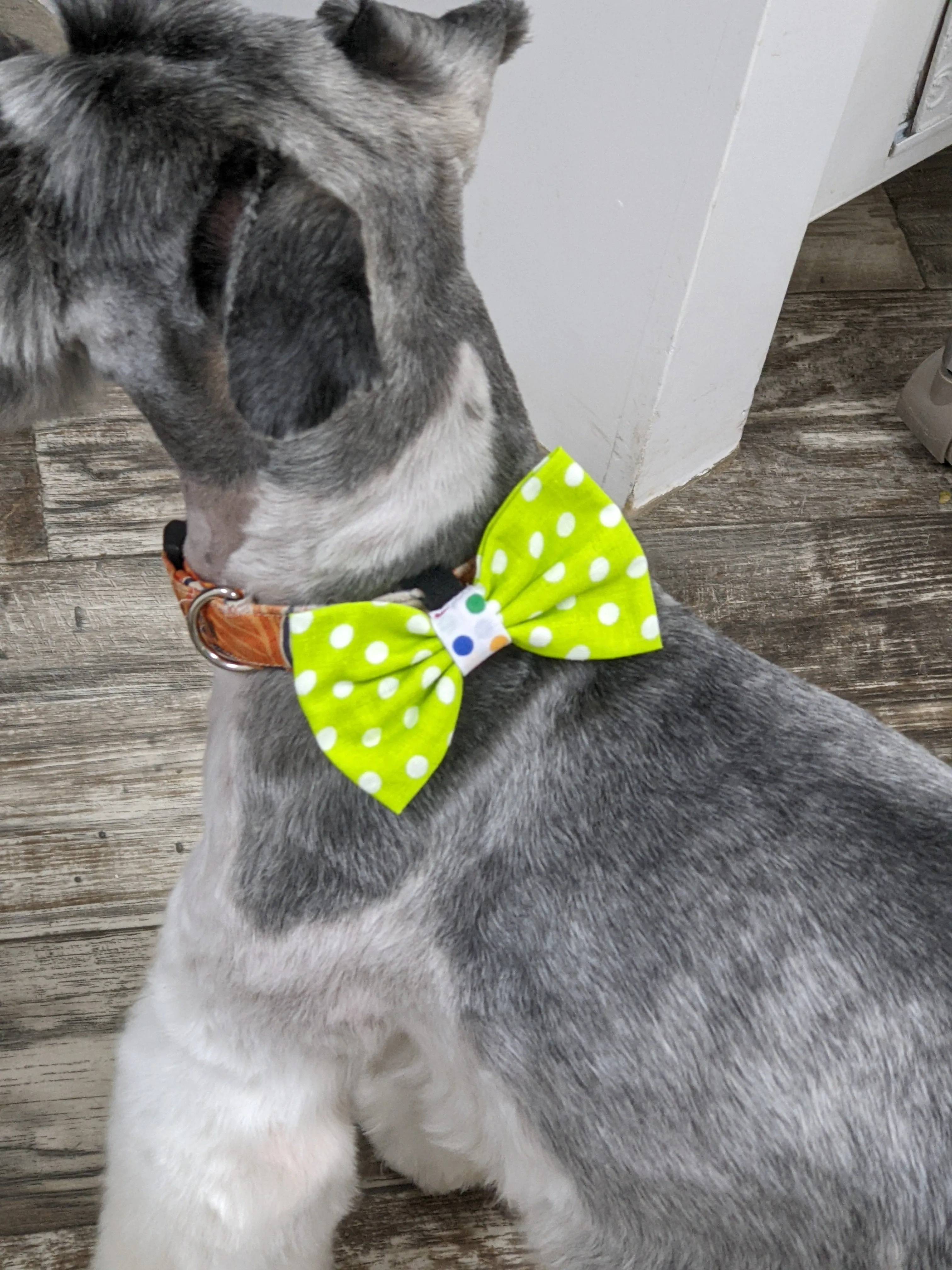 Bespoke Collar Blossoms & Bowties