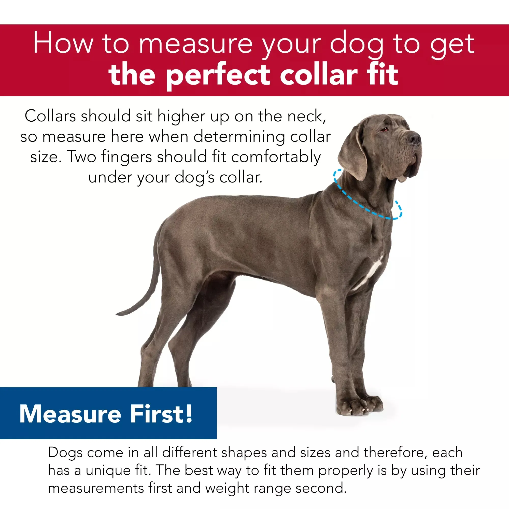 Coastal Pet Products No! Slip Martingale Adjustable Dog Collar