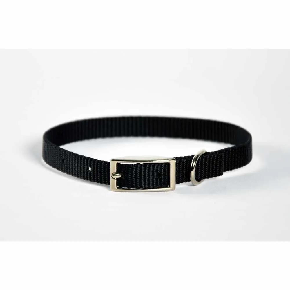 Dog Collar Skinny - 8" Black