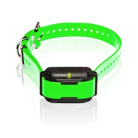 Dogtra Edge RT Extra Collar