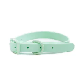 Frenchie Waterproof Collar - Mint Green