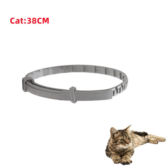 Pat and Pet Emporium | Pet Collars | Dog Cat Anti-Flea Collars