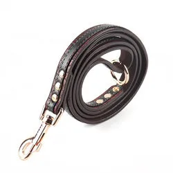 PAWS ASIA Supplier Custom High Quality Leather Luxury Waterproof Adjustable Dog Collar And Leash Set