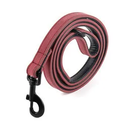 PAWS ASIA Supplier Custom High Quality Leather Luxury Waterproof Adjustable Dog Collar And Leash Set