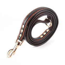 PAWS ASIA Supplier Custom High Quality Leather Luxury Waterproof Adjustable Dog Collar And Leash Set