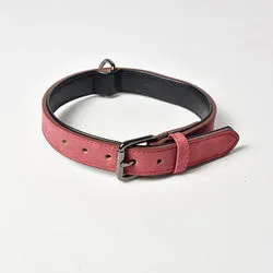 PAWS ASIA Supplier Custom High Quality Leather Luxury Waterproof Adjustable Dog Collar And Leash Set