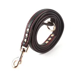 PAWS ASIA Supplier Custom High Quality Leather Luxury Waterproof Adjustable Dog Collar And Leash Set