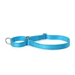 PAWS ASIA Suppliers New Design Custom Reflective Nylon Competitive Price Training Big Dog Collar