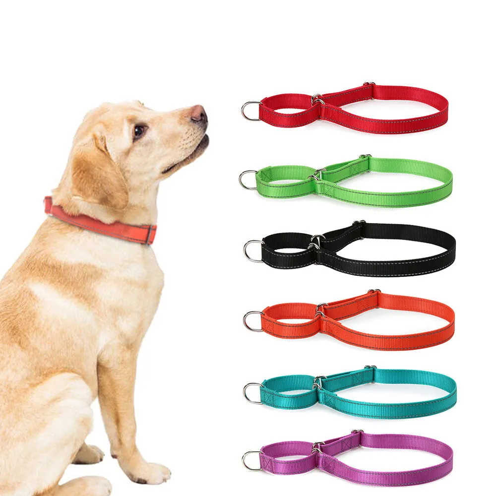 PAWS ASIA Suppliers New Design Custom Reflective Nylon Competitive Price Training Big Dog Collar