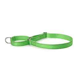 PAWS ASIA Suppliers New Design Custom Reflective Nylon Competitive Price Training Big Dog Collar