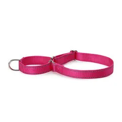 PAWS ASIA Suppliers New Design Custom Reflective Nylon Competitive Price Training Big Dog Collar