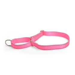 PAWS ASIA Suppliers New Design Custom Reflective Nylon Competitive Price Training Big Dog Collar