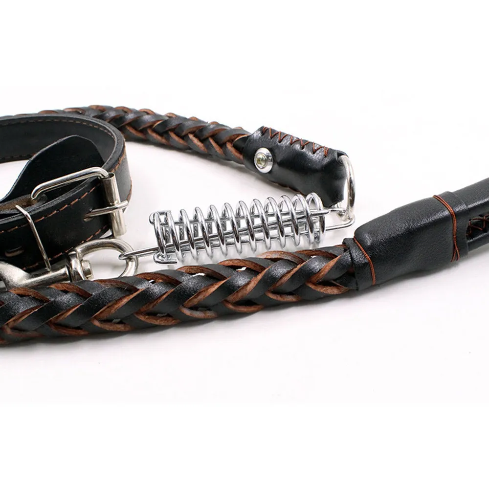 PAWS ASIA Wholesale Luxury Braided Leather Matching Spiral Spring Dog Leash And Collar