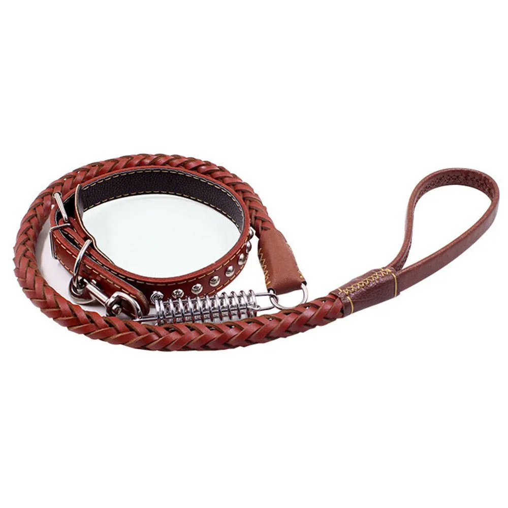 PAWS ASIA Wholesale Luxury Braided Leather Matching Spiral Spring Dog Leash And Collar