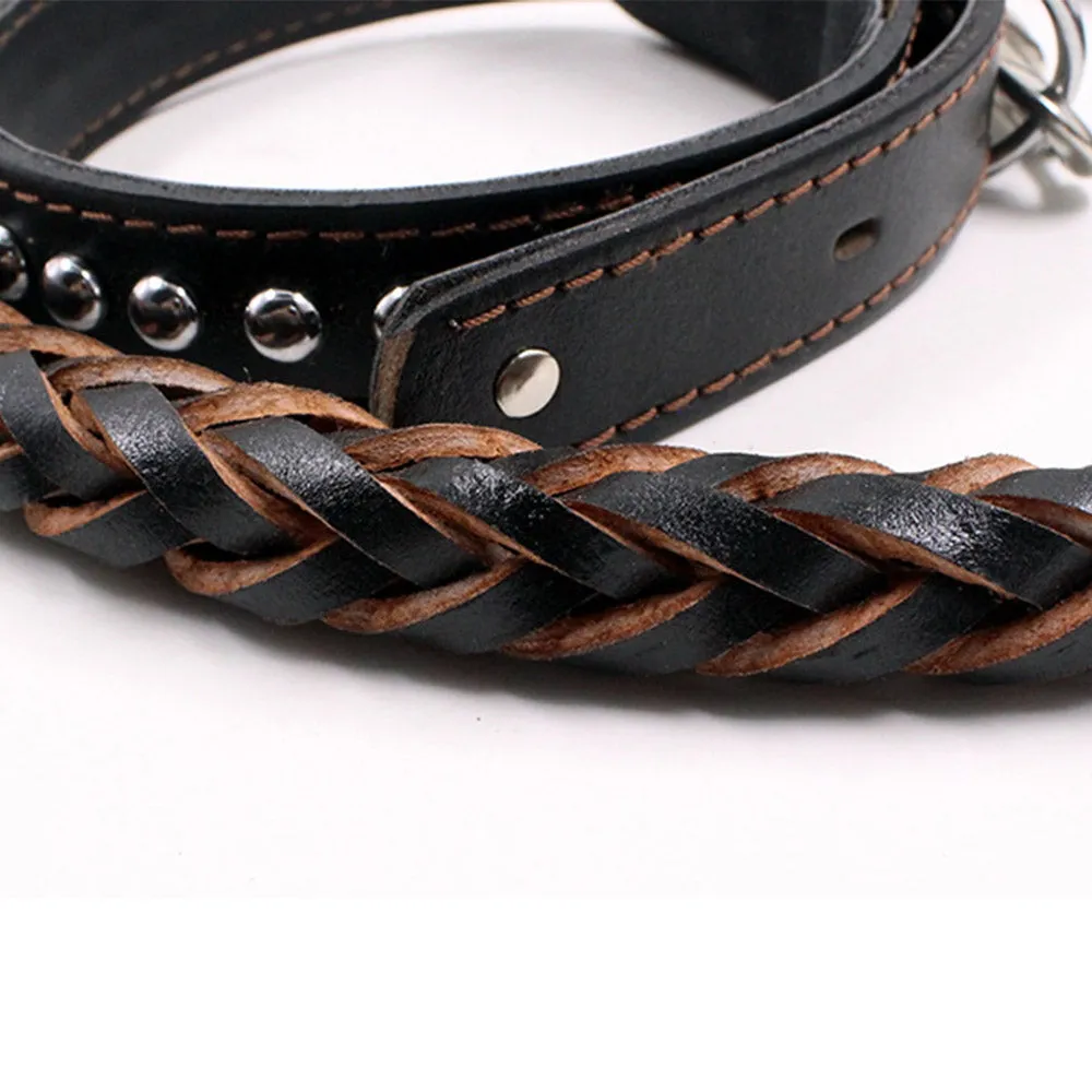 PAWS ASIA Wholesale Luxury Braided Leather Matching Spiral Spring Dog Leash And Collar