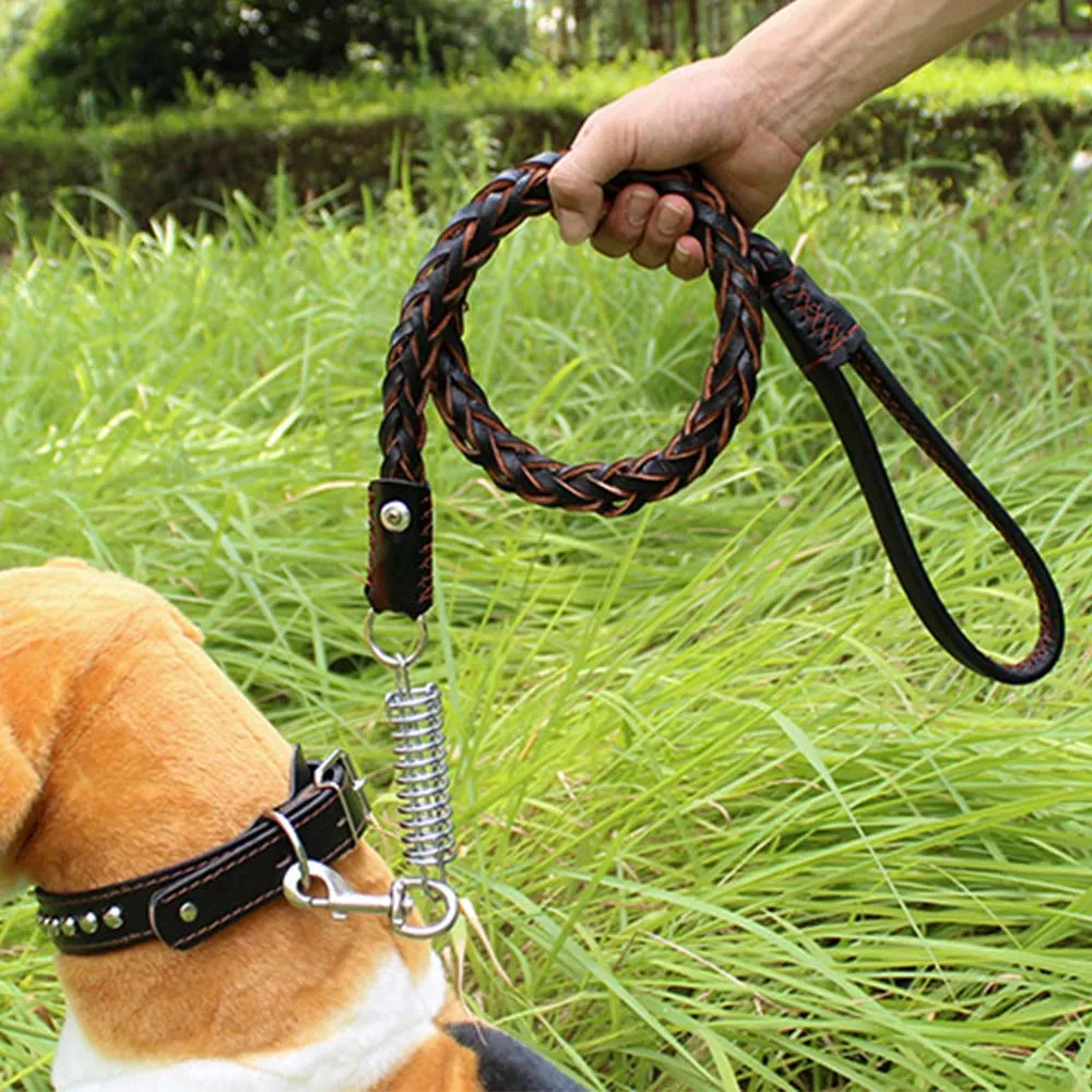 PAWS ASIA Wholesale Luxury Braided Leather Matching Spiral Spring Dog Leash And Collar