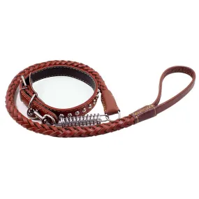 PAWS ASIA Wholesale Luxury Braided Leather Matching Spiral Spring Dog Leash And Collar