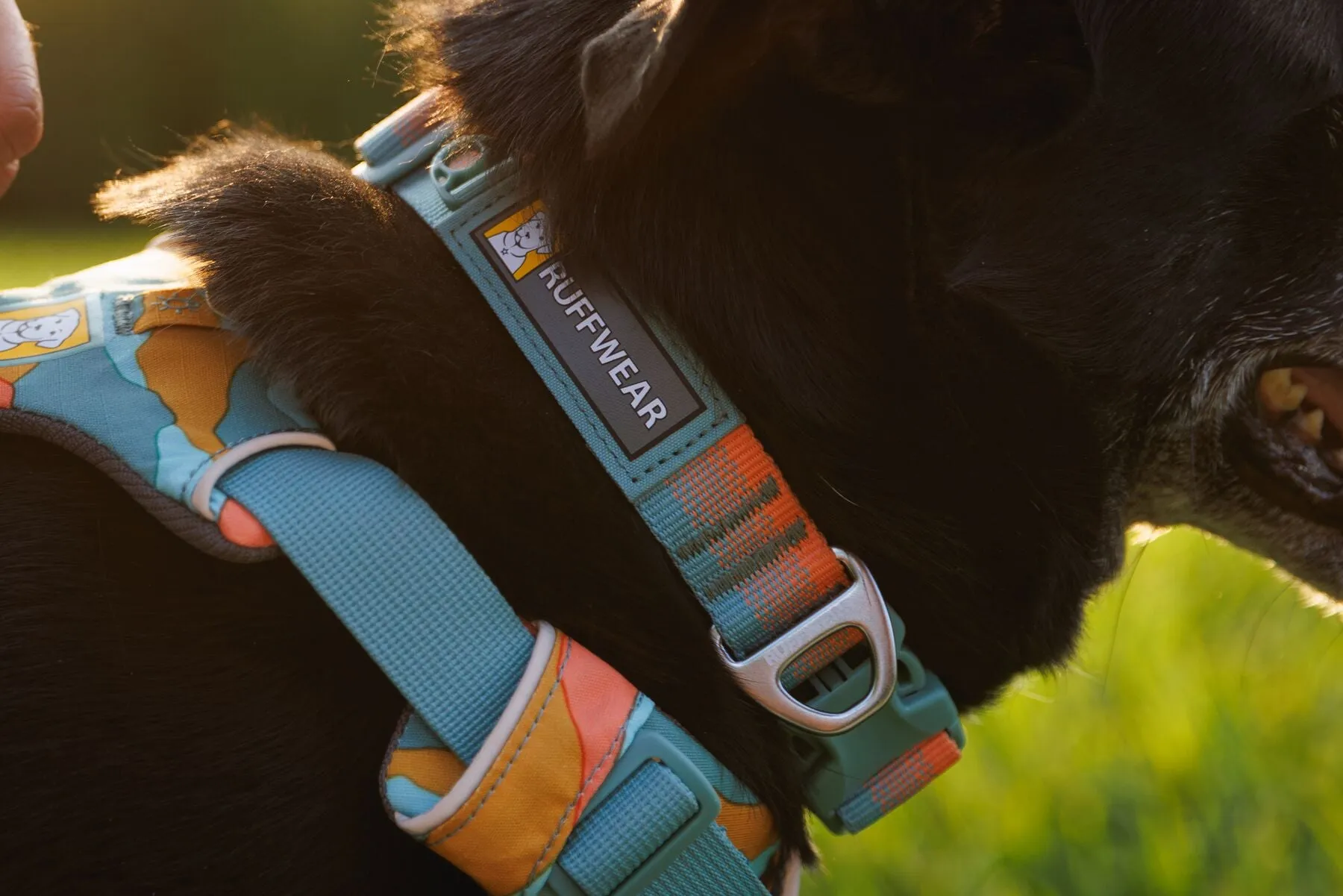 Ruffwear - Front Range Collar