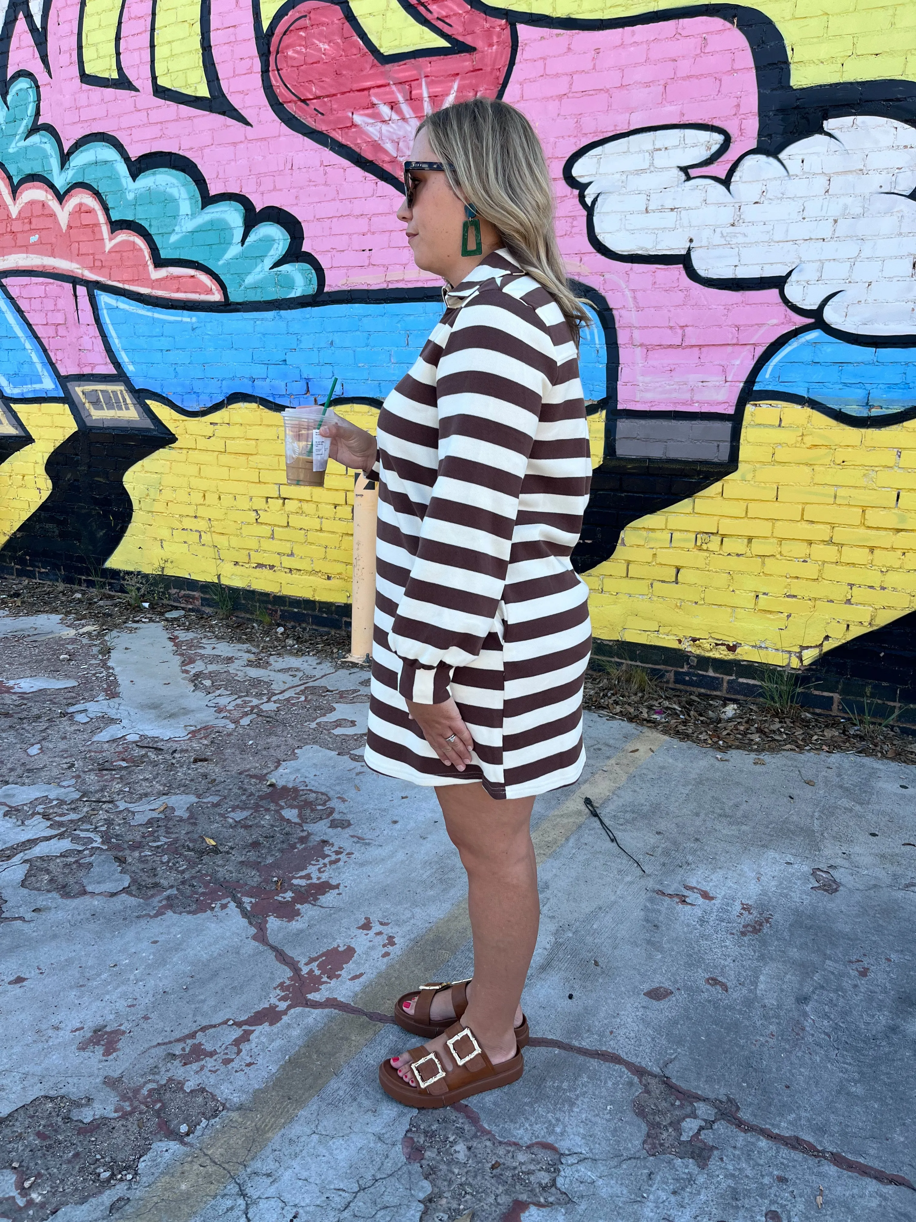 Stripe Print V-neck Long Sleeve Mini Dress- Espresso