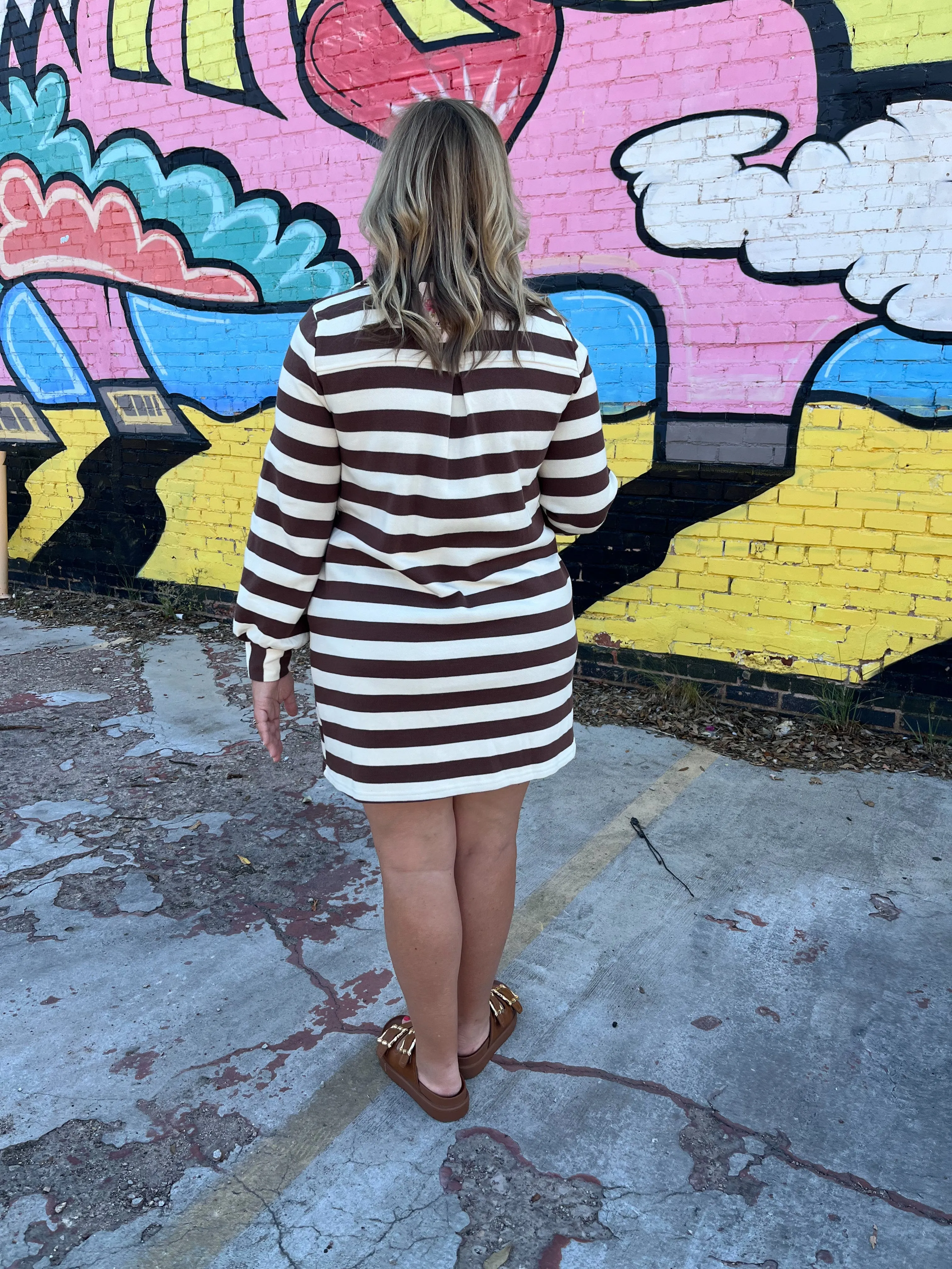 Stripe Print V-neck Long Sleeve Mini Dress- Espresso